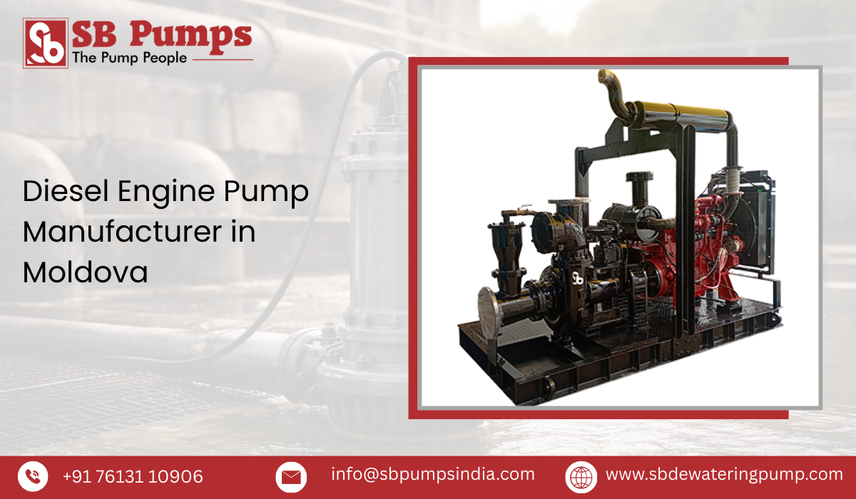 Diesel Engine Pump Manufacturer in Moldova